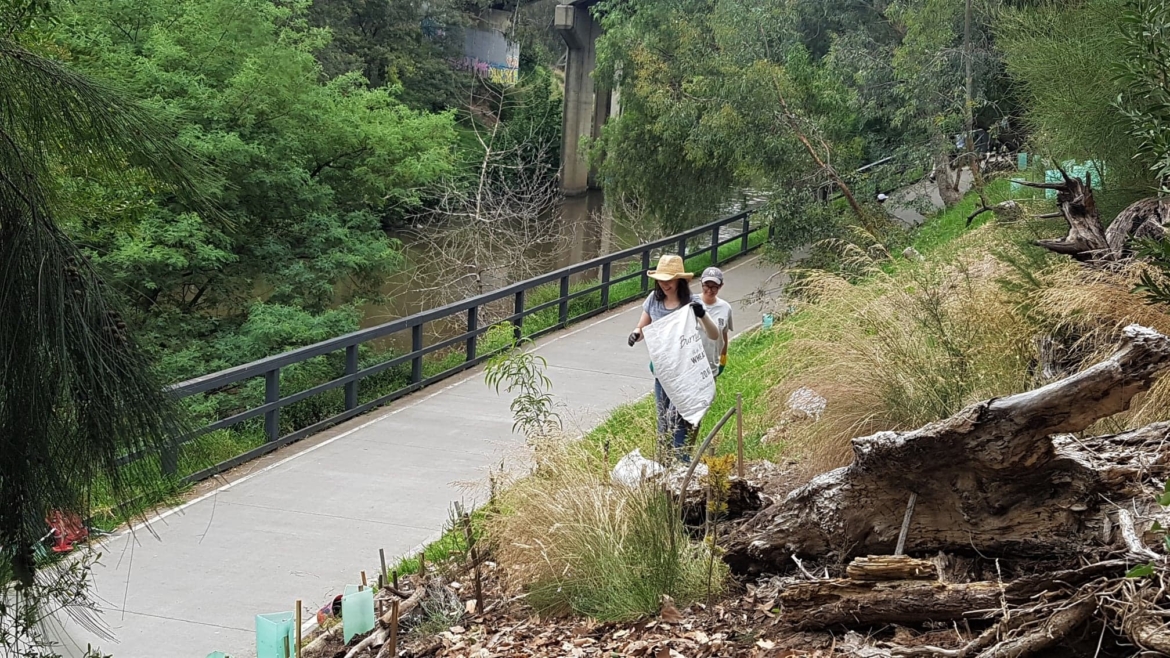 Plant one for the Yarra